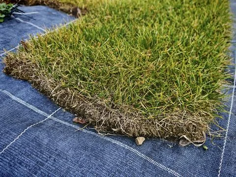 The lawn most basic in garden design Stock Photos