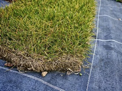  the lawn most basic in garden design and living architecture the lawn mos... Stock Photos
