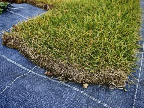  the lawn most basic in garden design and living architecture the lawn mos... Stock Photos