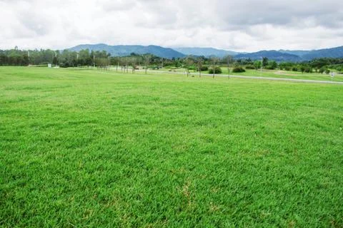 Lawn with mountain background. Stock Photos