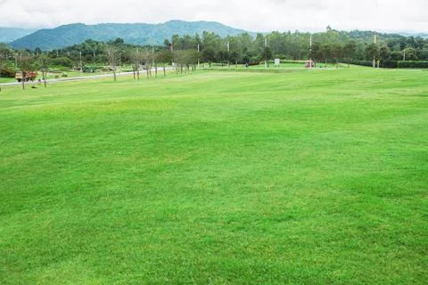 Lawn with mountain background. Stock Photos