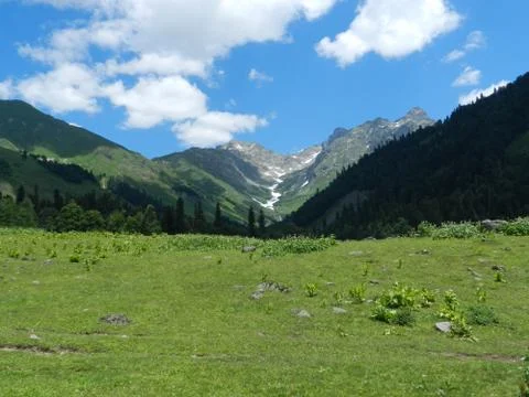 Lawn in the mountains Foto stock