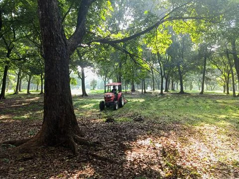 A lawn mover Stock Photos