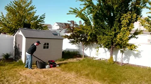 Lawn mower 6 Vidéo 11289893