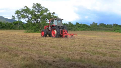 Lawn mower and egrets foraging  in ploughing field form a scenic scene. Stock Footage 278285966