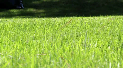 Lawn mower B Stock Footage 26084944