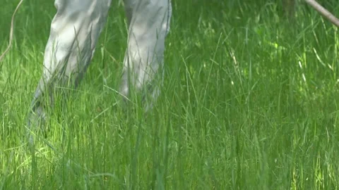 Lawn mower close-up mows grass Video stock 132219399