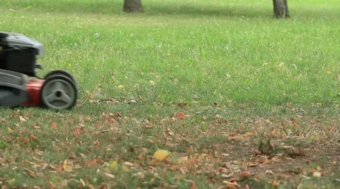 Lawn mower cut grass Stock Footage 22182608