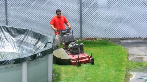Lawn Mower cuts the grass Stock Footage 40208480