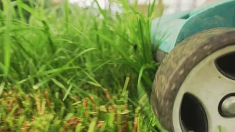 Lawn mower cuts grass Stock-Footage 159295042