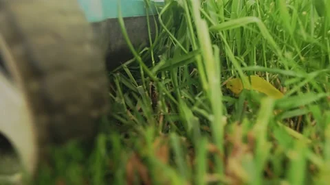 Lawn mower cuts grass Video stock 159295172