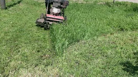 Lawn Mower Cutting Grass Video stock 10988851