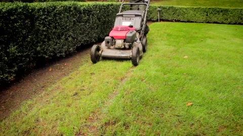 Lawn Mower Cutting The Grass Stock-Footage 58952892