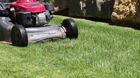 Lawn mower cutting the grass H Stock Footage