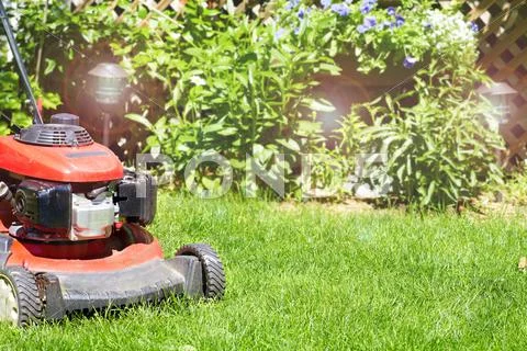 Lawn mower cutting the grass. Stock Photos