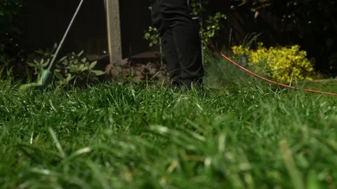 Lawn mower cutting grass. Small Green grass cuttings fly out of lawnmower pushed Stock Footage 194046349