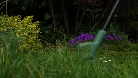 Lawn mower cutting grass. Small Green grass cuttings fly out of lawnmower pushed Stock Footage 194046383