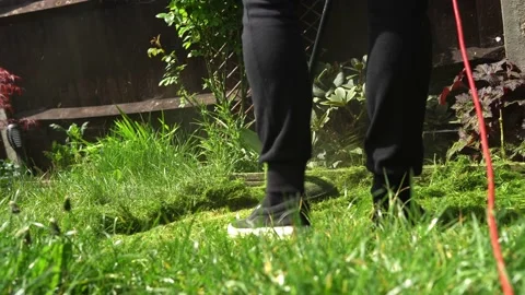 Lawn mower cutting grass. Small Green grass cuttings fly out of lawnmower pushed Stock Footage 194046488