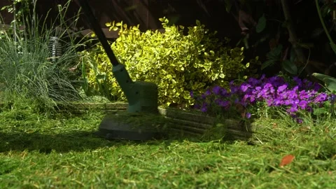 Lawn mower cutting grass. Small Green grass cuttings fly out of lawnmower pushed Stock Footage 194046741