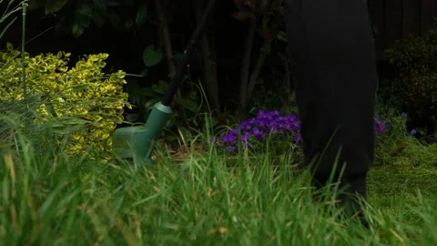 Lawn mower cutting grass. Small Green grass cuttings fly out of lawnmower pushed Stock Footage 194046811