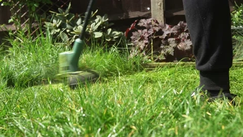 Lawn mower cutting grass. Small Green grass cuttings fly out of lawnmower pushed Stock Footage 194047203