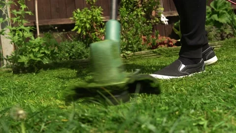 Lawn mower cutting grass. Small Green grass cuttings fly out of lawnmower pushed Stock-Footage 194054010