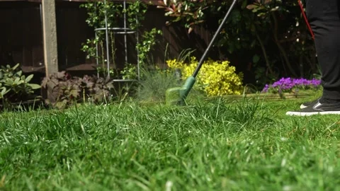 Lawn mower cutting grass. Small Green grass cuttings fly out of lawnmower pushed Stock Footage 194054079