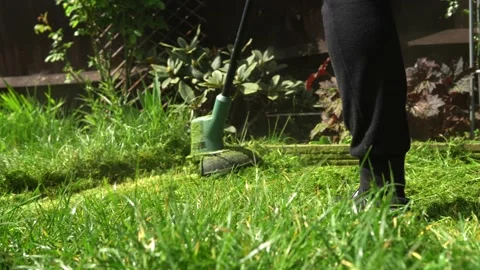 Lawn mower cutting grass. Small Green grass cuttings fly out of lawnmower pushed Stock Footage 194054238