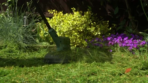 Lawn mower cutting grass. Small Green grass cuttings fly out of lawnmower pushed Stock Footage 194054282