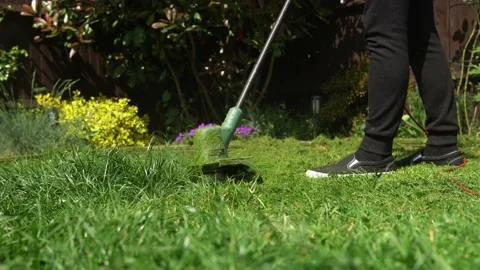 Lawn mower cutting grass. Small Green grass cuttings fly out of lawnmower pushed Stock Footage 194193256