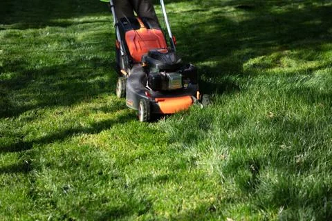 Lawn mower cutting green grass. Work in the garden Stock Photos