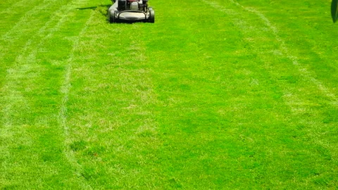 The lawn mower is cutting the lawn. Selective focus. Stock Footage 153257974