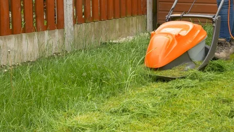 Lawn mower cutting long thick grass Stock Footage 114995727
