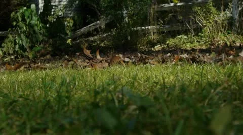 Lawn Mower Stock-Footage 12482485