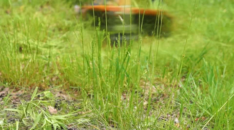 Lawn mower. Stock Footage 24078788