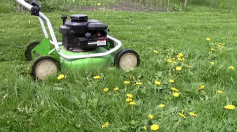 Lawn-mower Stock Footage 24695684