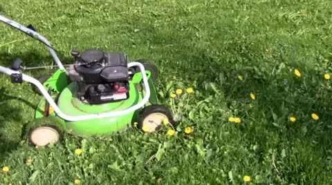 Lawn-mower Stock Footage 24696001