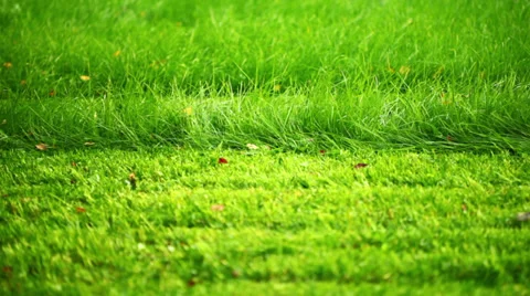 Lawn mower Stock Footage 35574982