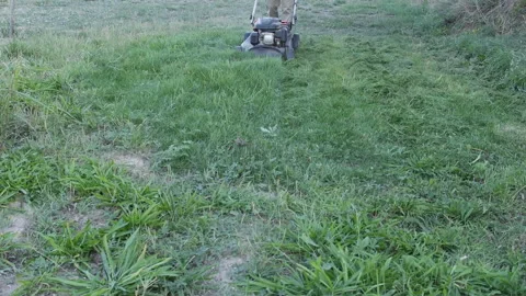 Lawn mower Video stock 167331774