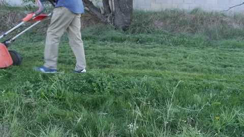Lawn mower Stock Footage 167331915