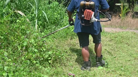 Lawn mower Stock Footage 223451099