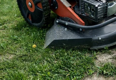 Lawn mower on the grass Stock Photos