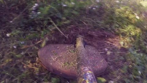 Lawn mower grass trimmer on green grass Stock Footage