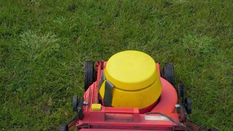 Lawn Mower Green Grass Stock Footage 312529685