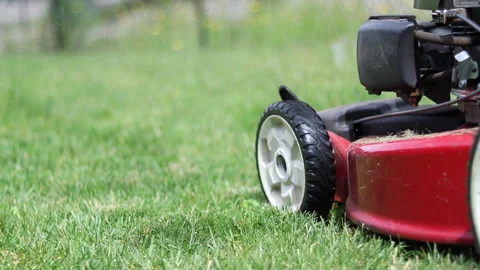 Lawn Mower Low Angle Tracking Shot Stock Footage 135081325