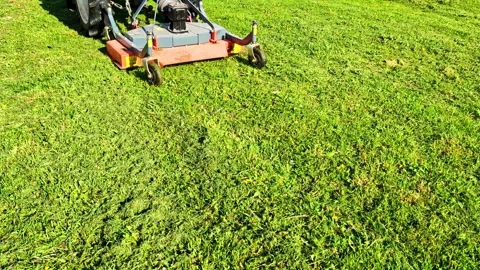 Lawn mower machine cutting green grass in a field during summer garden Video stock 341457321
