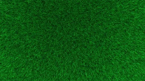 Lawn mower, machine, grass, cut, trim. Stock Footage 11354470