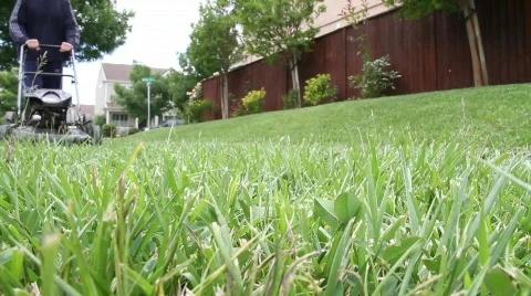 Lawn Mower Man 1 Stock Footage 722021