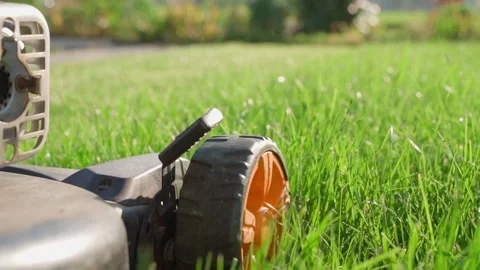 Lawn mower moving over lawn grass on sunny day close-up Video stock 339417871