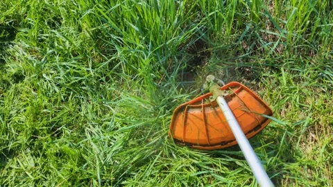 A lawn mower mows the grass Stock Footage 306045441